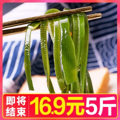 5斤新鲜特级厚盐渍海带丝干货裙带菜火锅凉拌海带结头苗罗布整箱