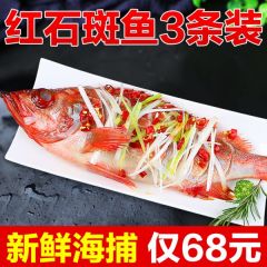 红石斑鱼冷冻整条深海海捕大龙胆鱼富贵鱼深海鱼鲜活海鲜水产斑鱼